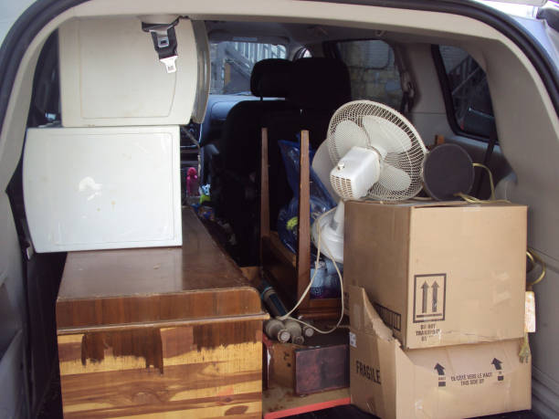 Best Dumpster Rental Services  in Thief River Falls, MN