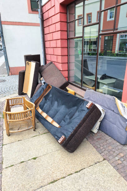 Best Construction Debris Removal  in Thief River Falls, MN